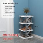 Multi-Tier Shoe Storage Unit