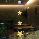 Christmas Star Fairy Lights