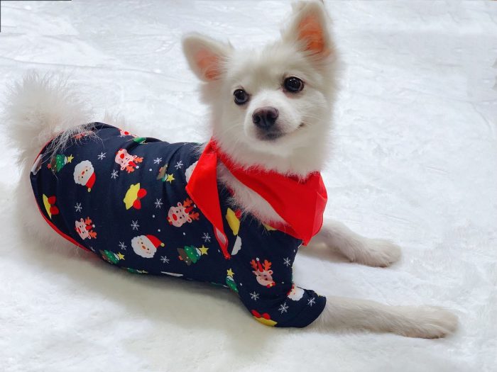Cozy Christmas dog Pajamas