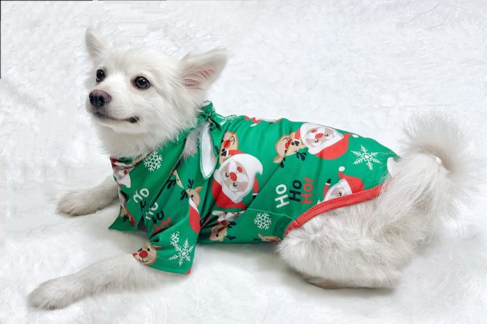 Holiday Pajama Collection for dog