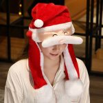 Christmas Hat