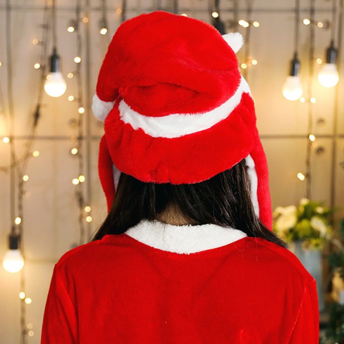 Funny Christmas Hat