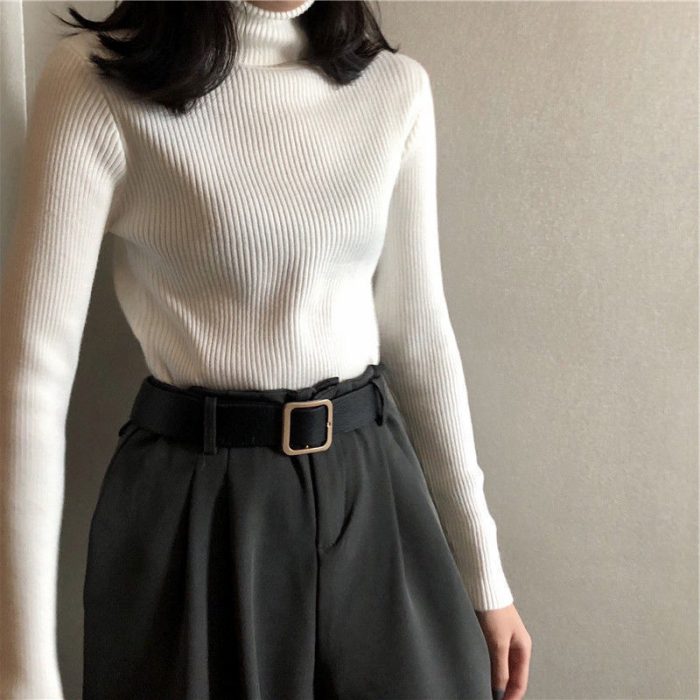 Turtleneck Sweater Perfect for Women