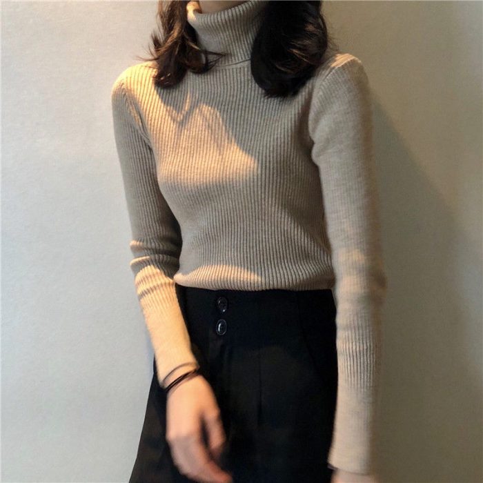 Stylish Turtleneck Sweater for Women