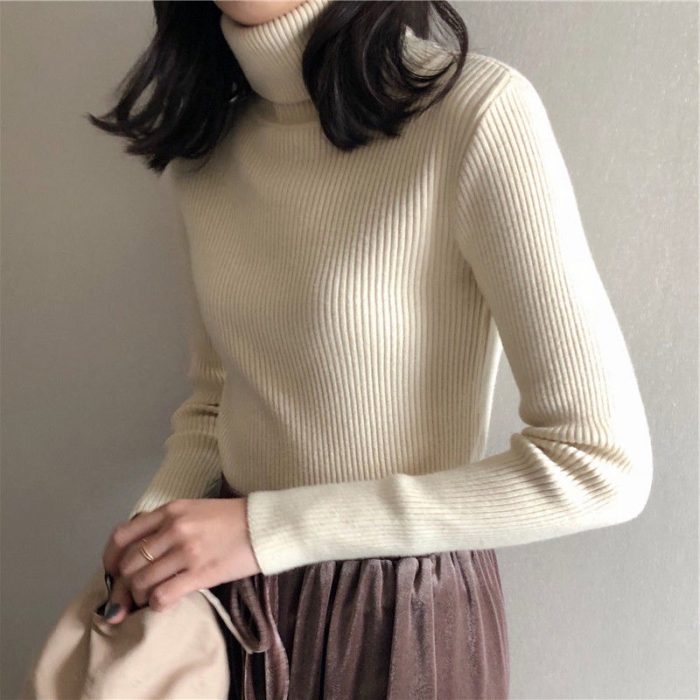 Versatile Women's High Neck Knit