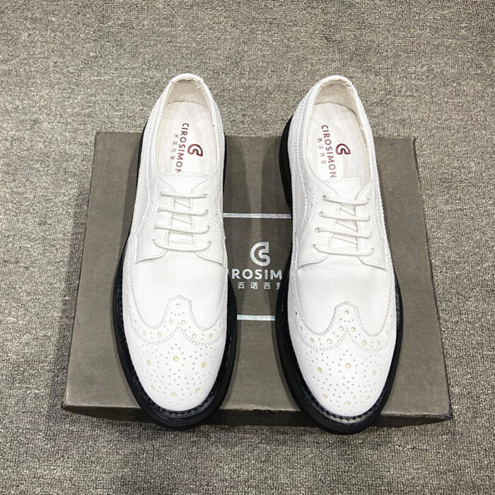 classic leather shoes