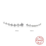 Silver Stone Earrings