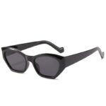 Modern fashion sunglasses