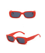 Fashion sunglasses