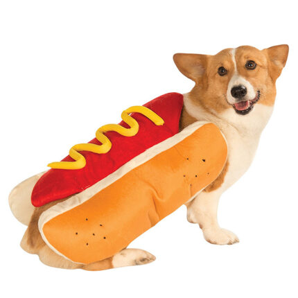 Dog Halloween Party Outfit