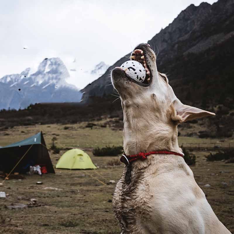 53f1de41 85e5 47a4 9dd4 6c4b0e5fc676.jpg